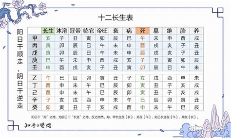 22數字 十长生